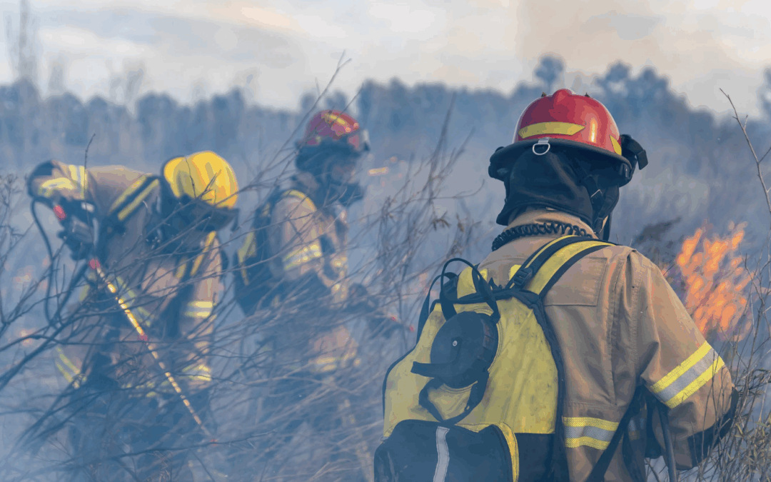 FEMA Fire Management Assistance Granted for the Jones Road Wildfire in New Jersey
